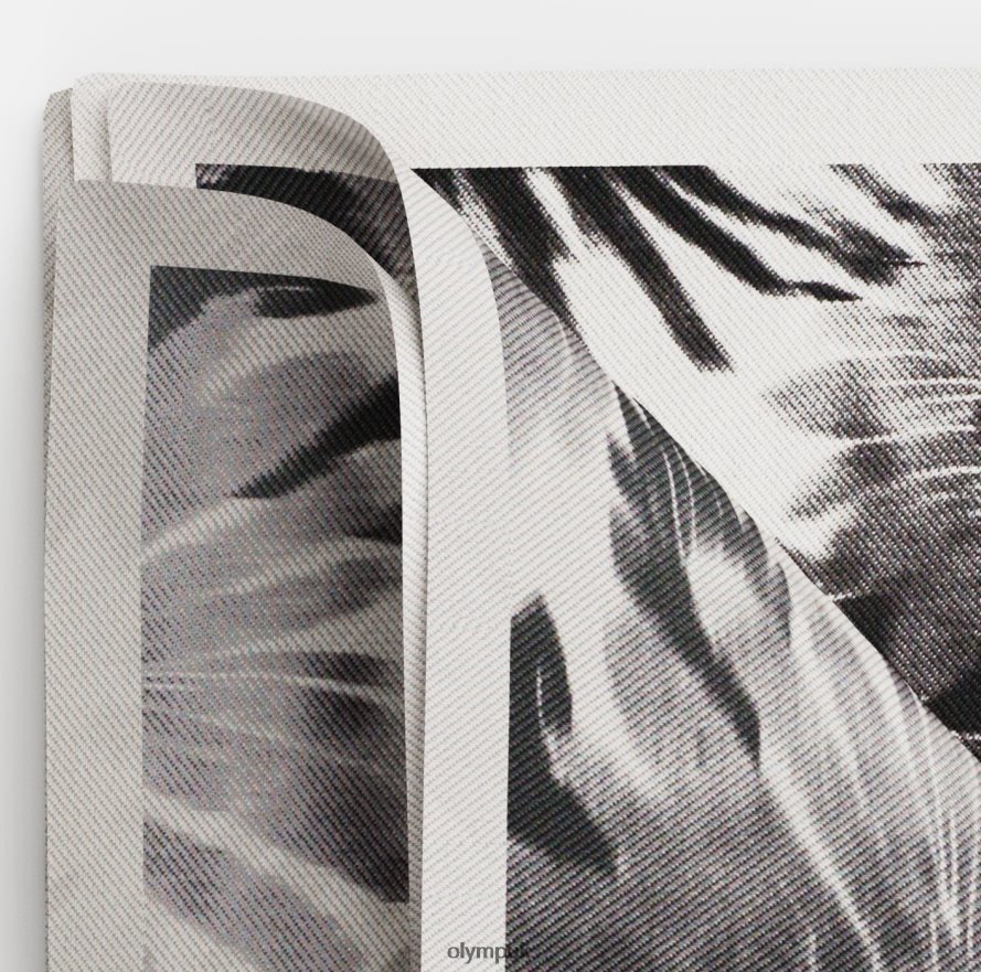 Accessories OLYMP Pocket Square 30X30 Cm, Black NZ22L2583