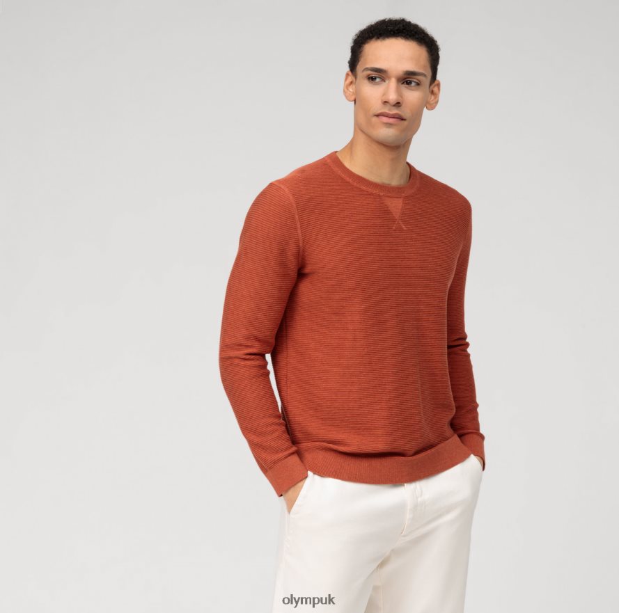 Clothing OLYMP Casual Knitwear Pullover, Nougat NZ22L1782